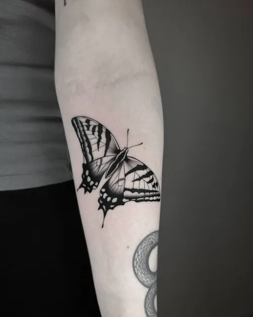 Blackwork-tatuering av en swallowtail-fjäril på en underarm